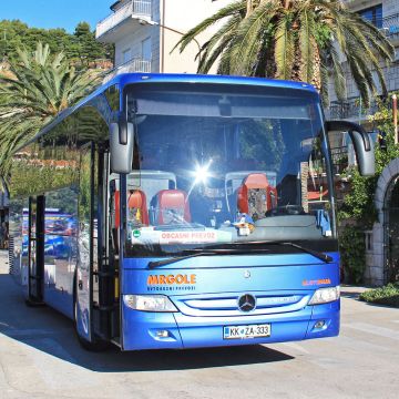 Najem avtobusa z voznikom