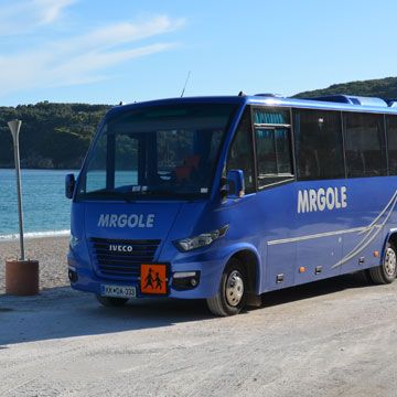Najem minibusa s šoferjem